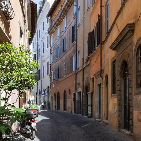 As Feel - Vacche Lovely In Navona * Rome