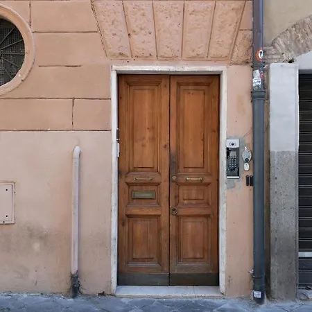 As Feel - Vacche Lovely In Navona * Rome